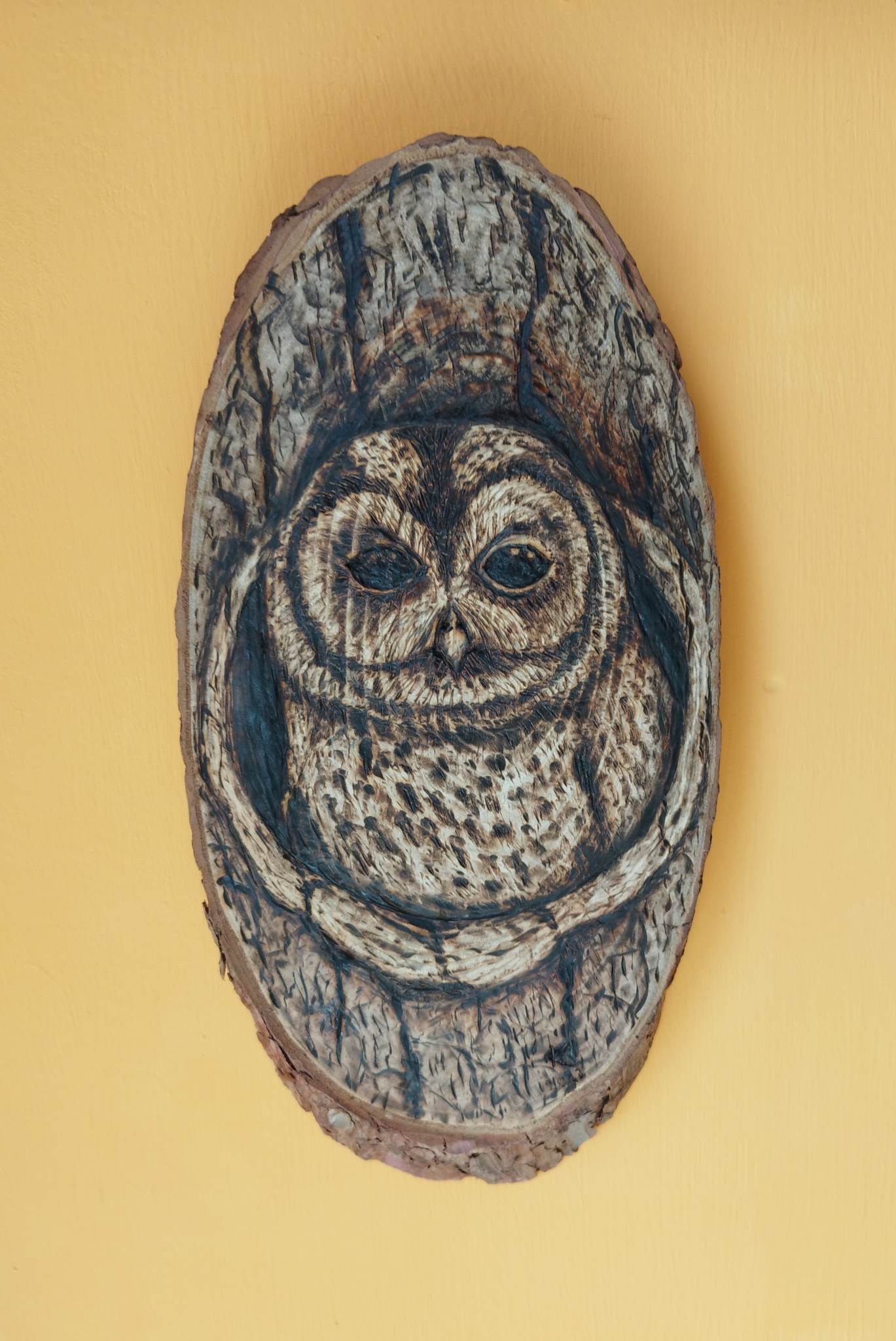 Lesna sova - pirografija