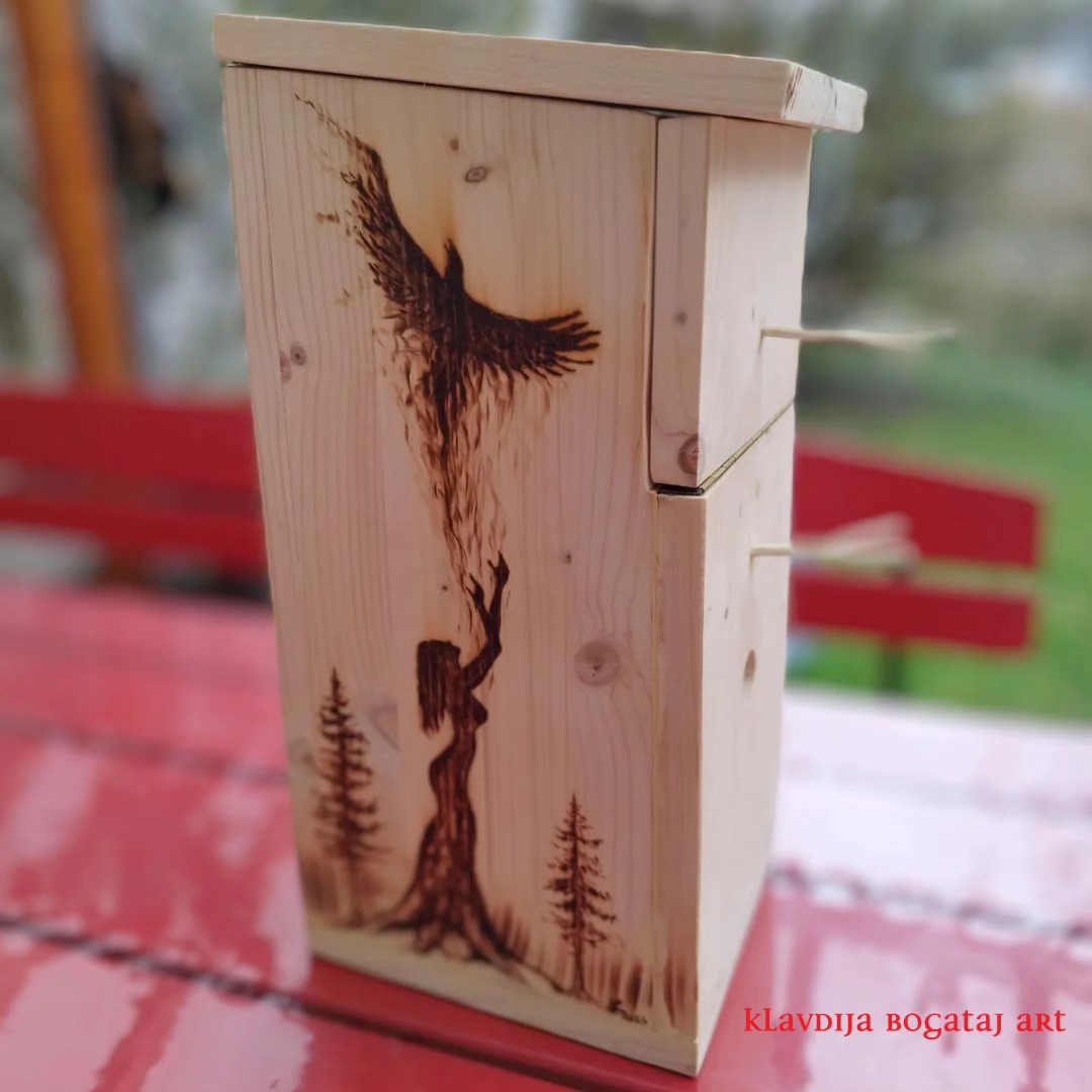 Boginja in njen krokar