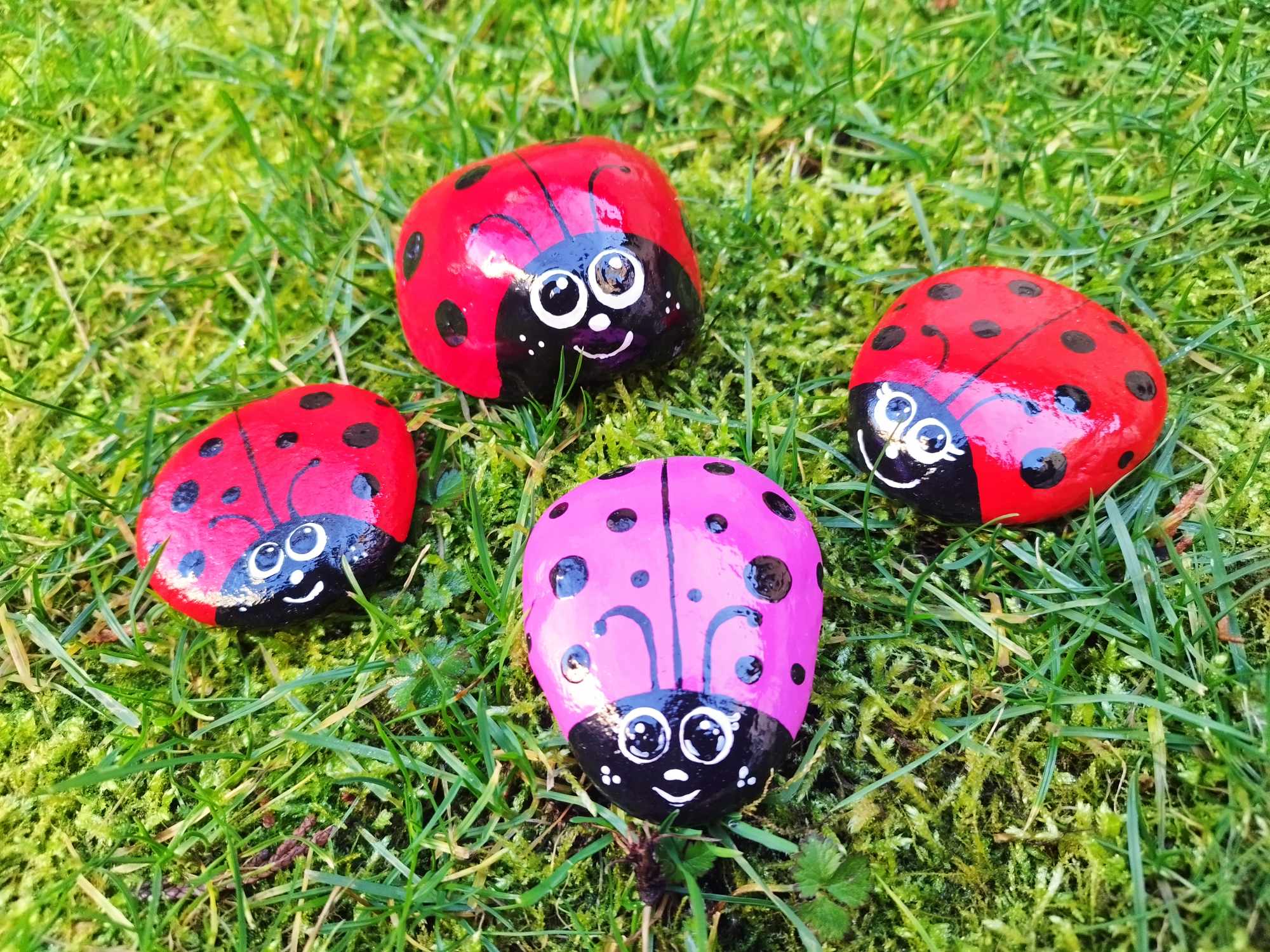 Pikapolonice za srečo (1)