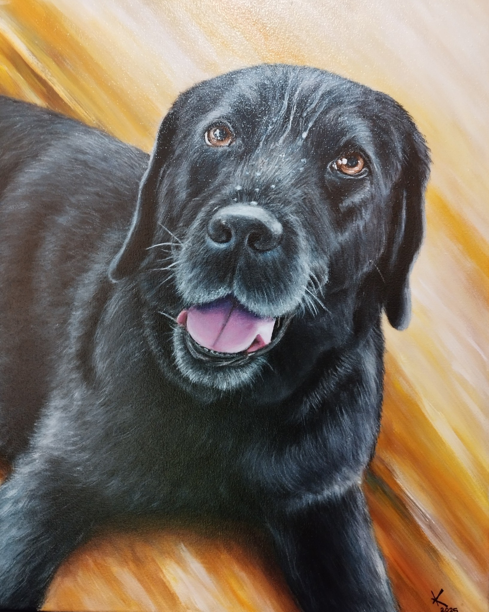 Labradorec - darilo za poroko